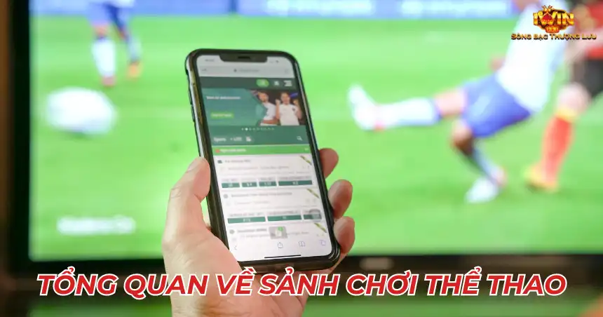 Tổng quan về sảnh chơi thể thao